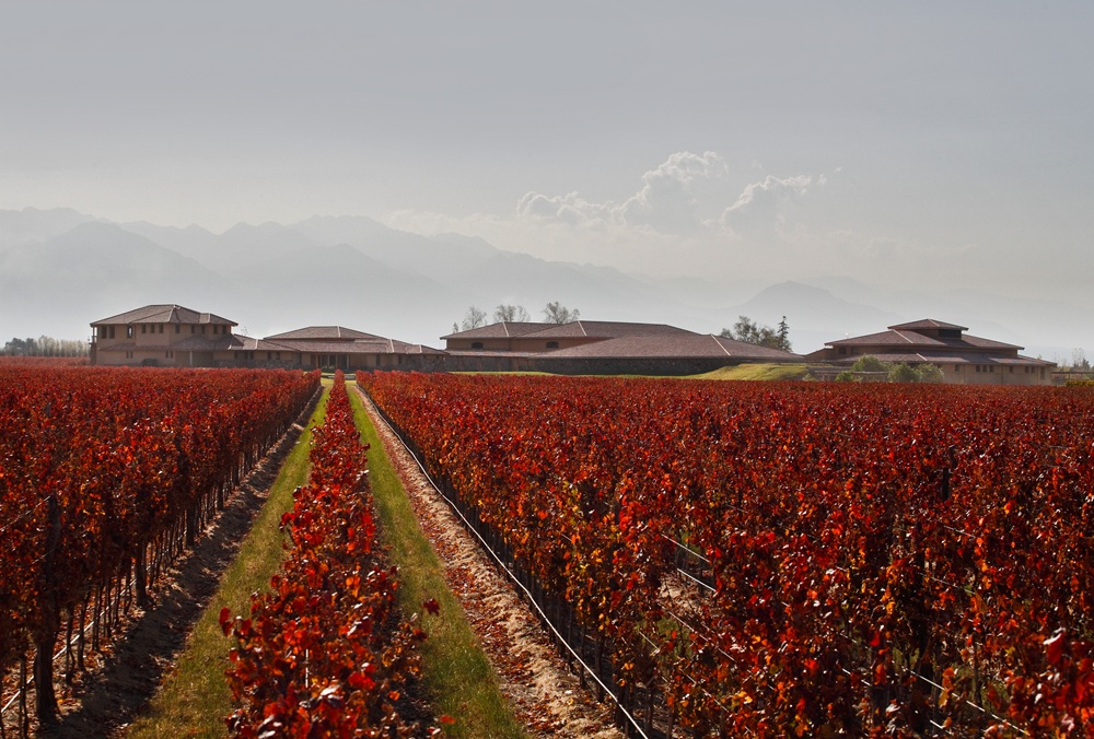 Mendoza 4